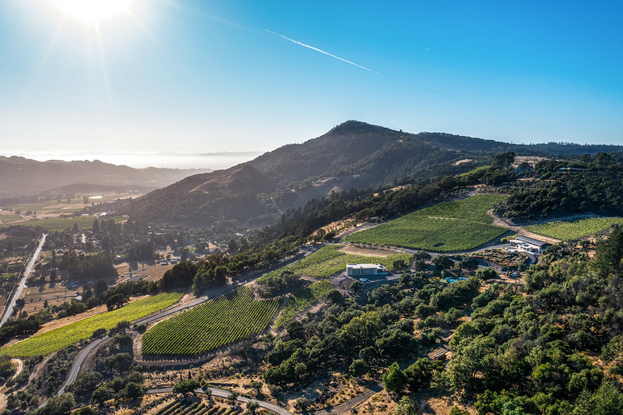 Graves-Estate-Vineyard Aerial view over Coursey Graves Estate Vineyard in Sonoma County, California
