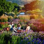 Wine tasting in Coursey Graves Monet-style french gardens.