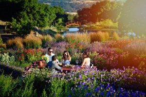 Wine tasting in Coursey Graves Monet-style french gardens.