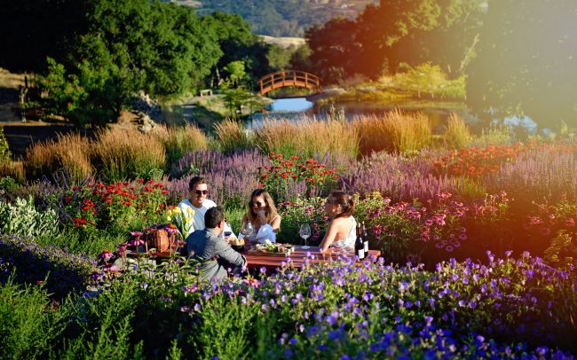 Wine tasting in Coursey Graves Monet-style french gardens.