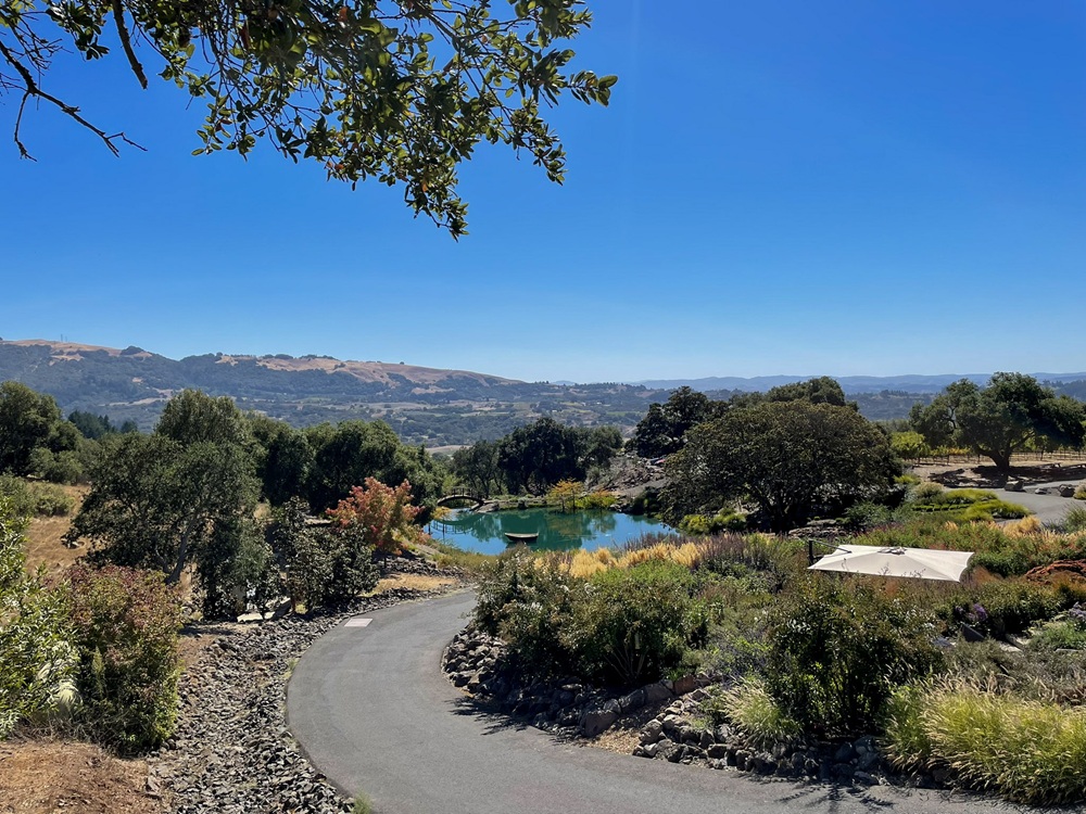 Spectacular views and exceptional wines at Coursey Graves Estate Winery