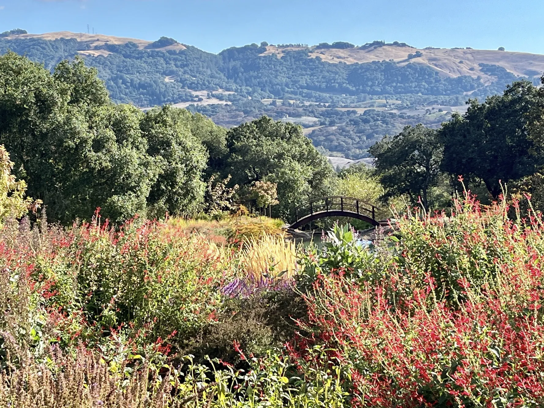 Sonoma Valley Wine Tasting, Coursey Graves Estate Winery